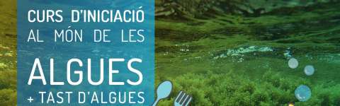Curs d'iniciació al món de les algues + tast