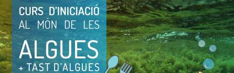 Curso de iniciación al mundo de las algas + cata